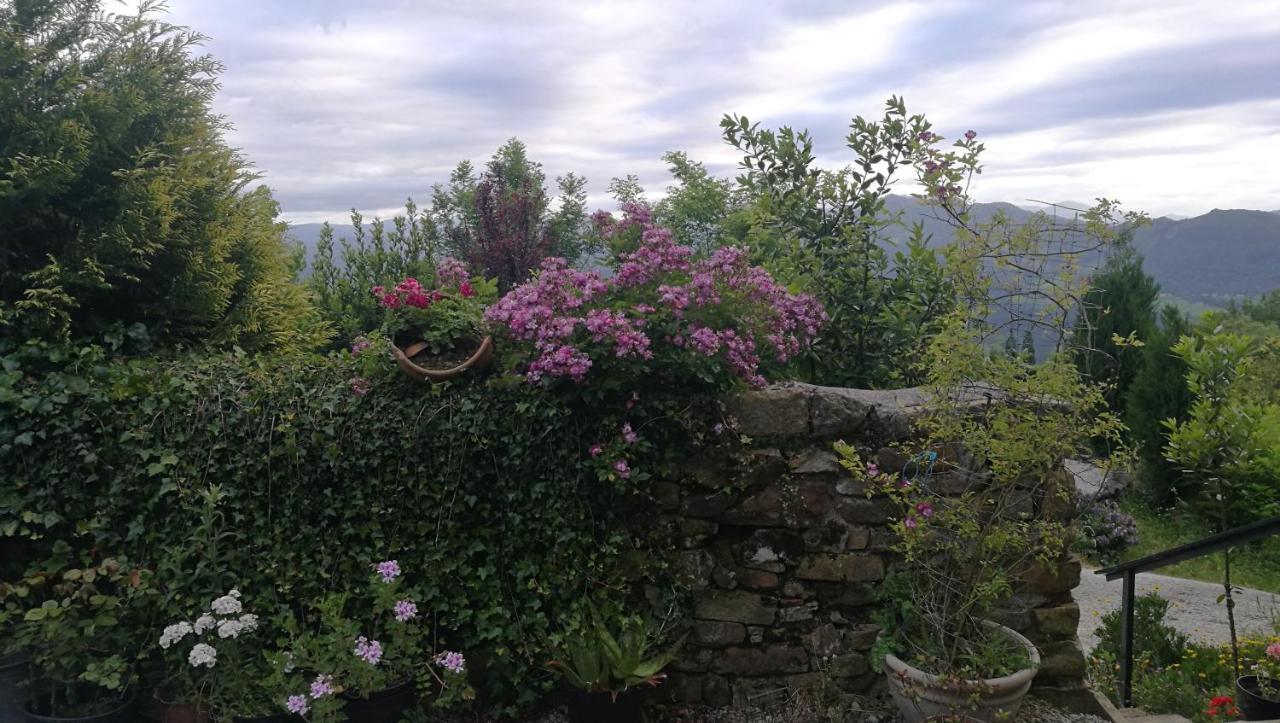 Elbosqueencantadocantabria Villa Ampuero Eksteriør billede